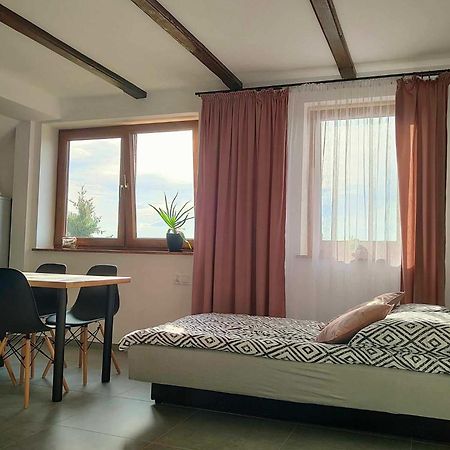 Apartamenty U Anety Вилкасы Экстерьер фото